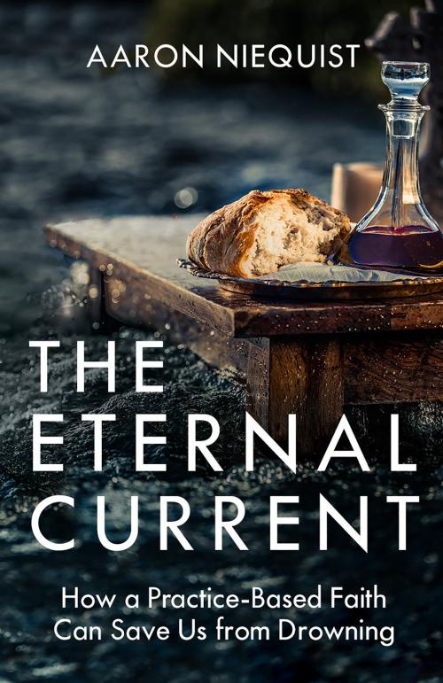 Cover of the book The Eternal Current by Aaron Niequist, The Crown Publishing Group