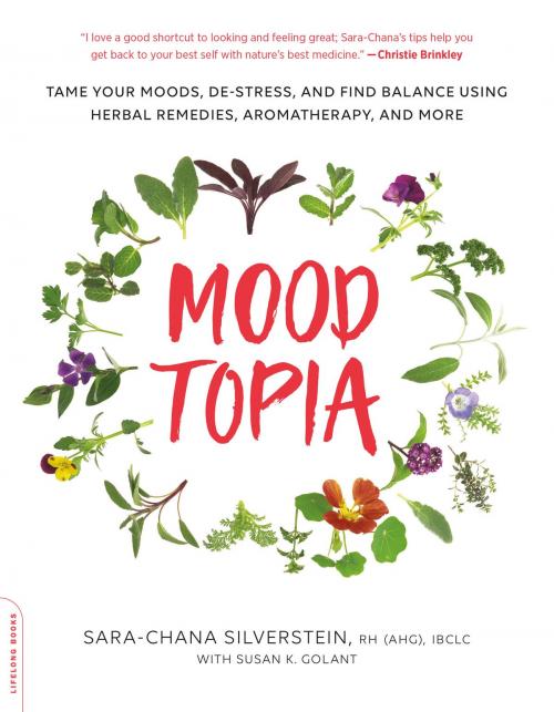 Cover of the book Moodtopia by Sara Chana Silverstein, Hachette Books