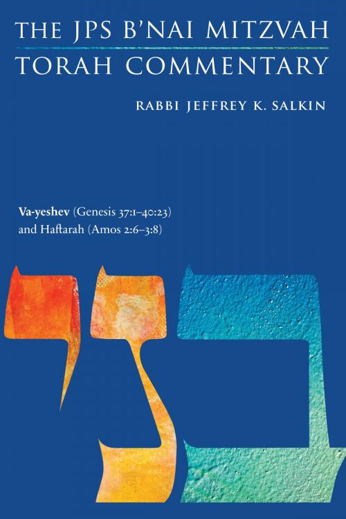 Cover of the book Va-yeshev (Genesis 37:1-40:23) and Haftarah (Amos 2:6-3:8) by Rabbi Jeffrey K. Salkin, The Jewish Publication Society