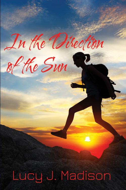 Cover of the book In the Direction of the Sun by Lucy Madison, Lucy Madison