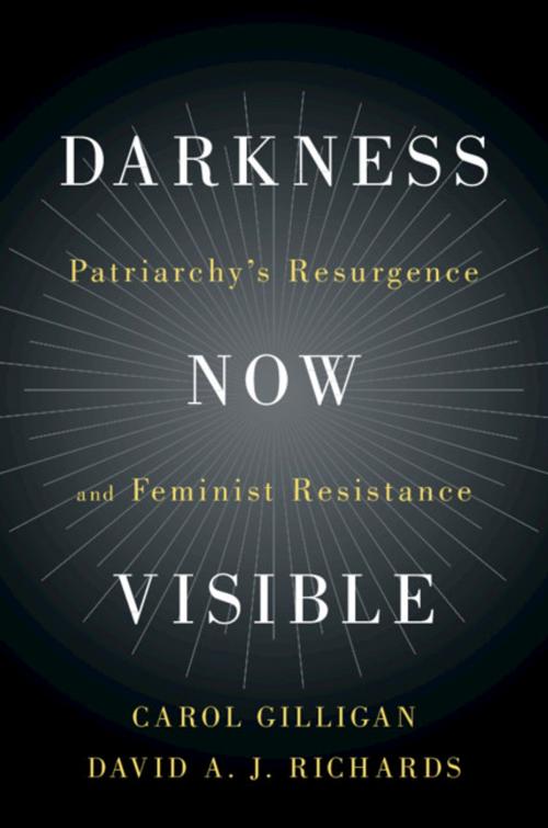 Cover of the book Darkness Now Visible by Carol Gilligan, David A. J. Richards, Cambridge University Press