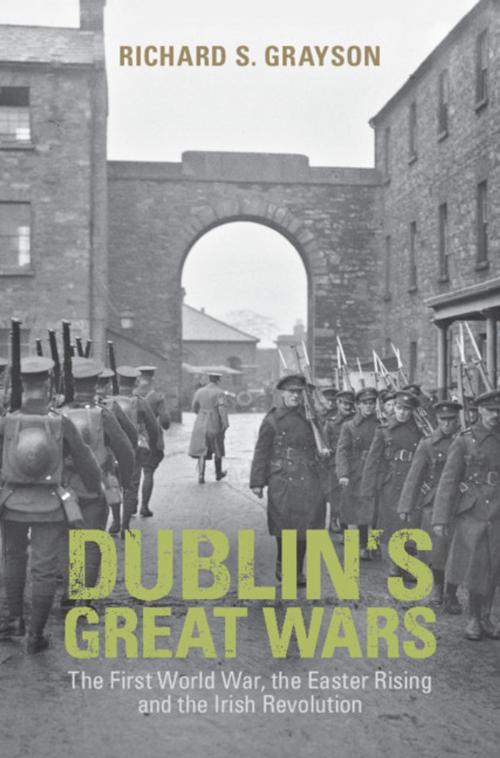 Cover of the book Dublin's Great Wars by Professor Richard S. Grayson, Cambridge University Press