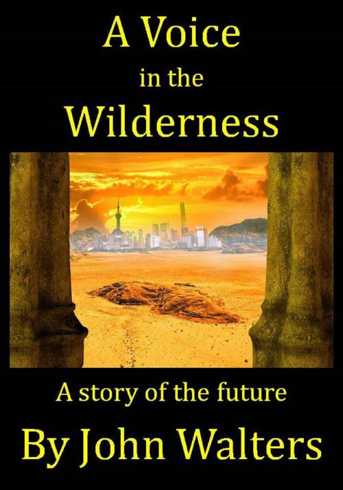 Cover of the book A Voice in the Wilderness by John Walters, Astaria Books