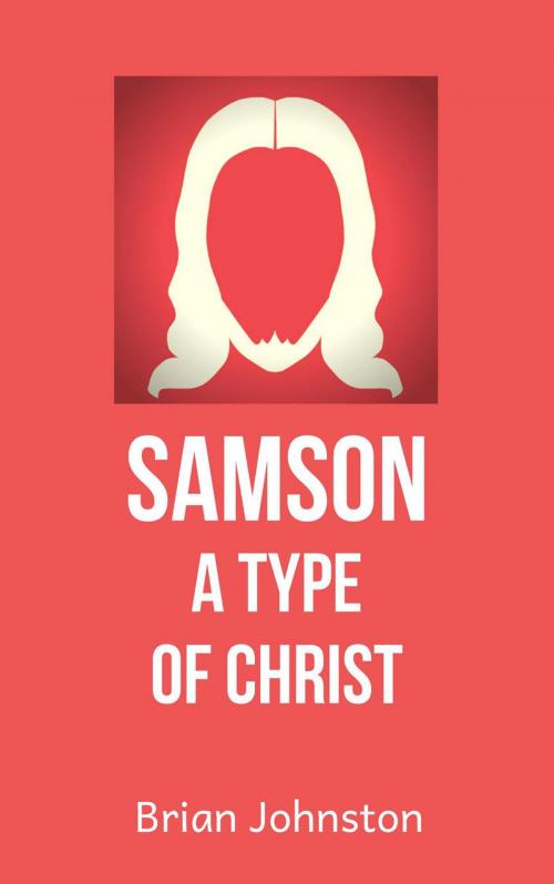 Cover of the book Samson: A Type of Christ by Brian Johnston, Hayes Press