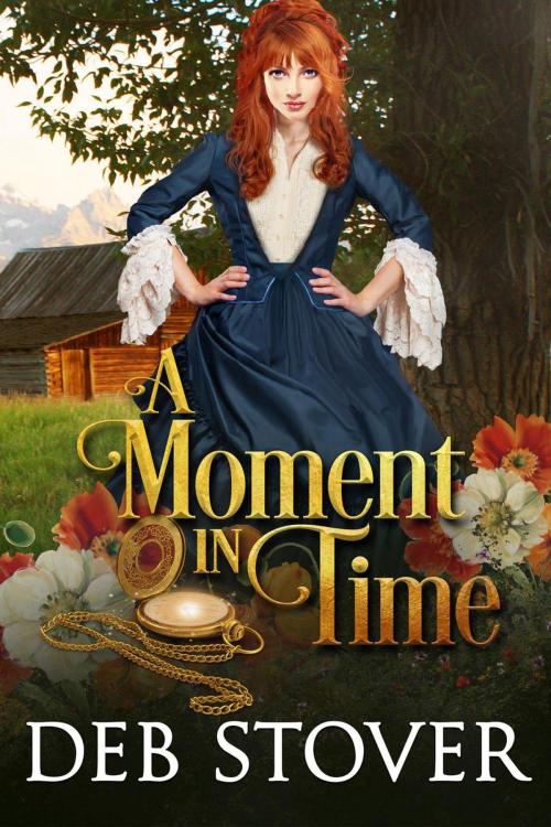 Cover of the book A Moment in Time by Deb Stover, Deb Stover
