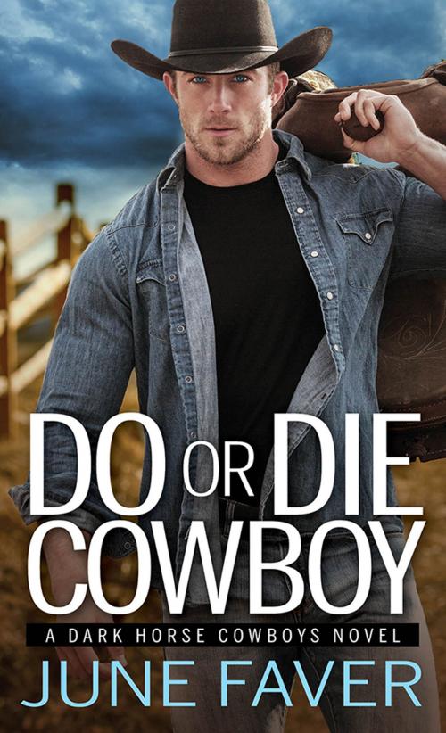 Cover of the book Do or Die Cowboy by June Faver, Sourcebooks