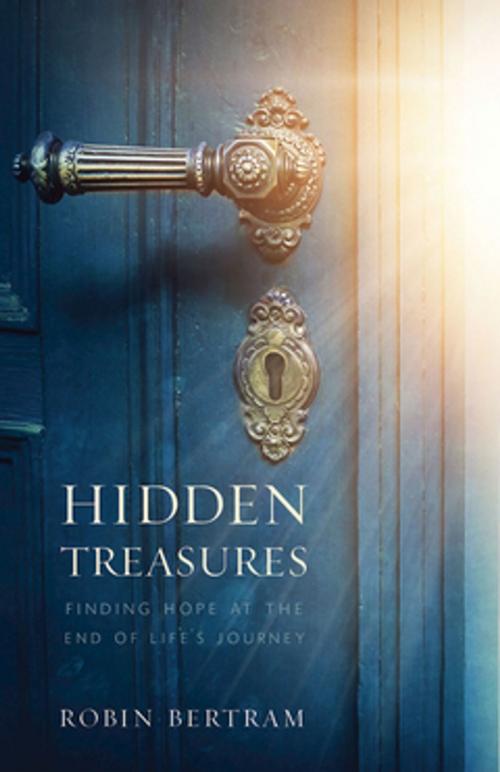 Cover of the book Hidden Treasures by Robin Bertram, Abingdon Press