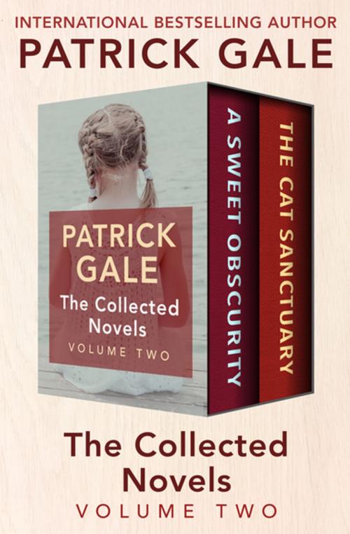 Cover of the book The Collected Novels Volume Two by Patrick Gale, Open Road Media