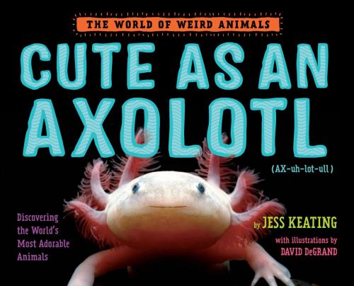 Cover of the book Cute as an Axolotl by Jess Keating, Random House Children's Books