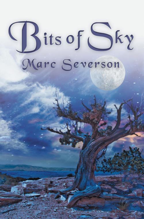 Cover of the book Bits of Sky by Marc Severson, iUniverse