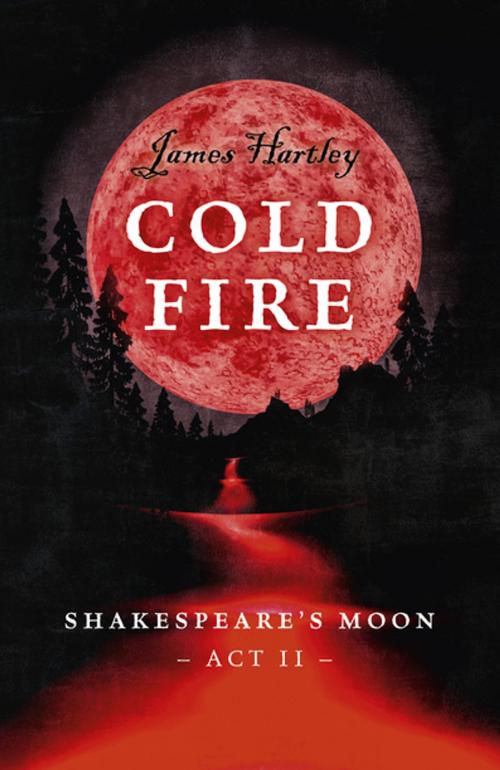 Cover of the book Cold Fire by James Hartley, John Hunt Publishing