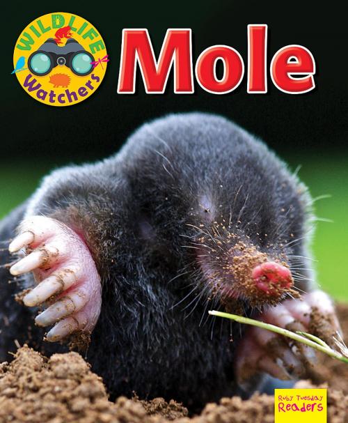 Cover of the book Mole by Ruth Owen, Bearport Publishing