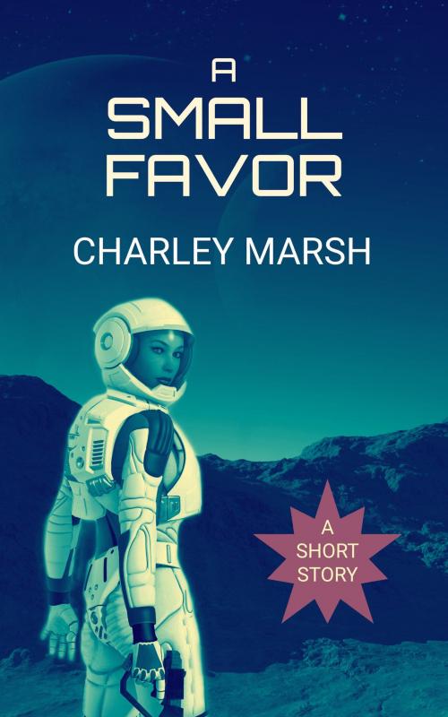 Cover of the book A Small Favor by Charley Marsh, Timberdoodle Press