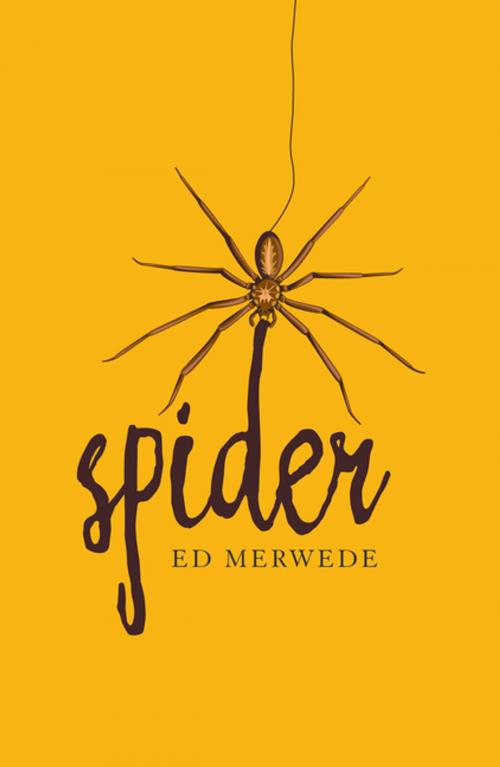 Cover of the book Spider by Ed Merwede, Xlibris US