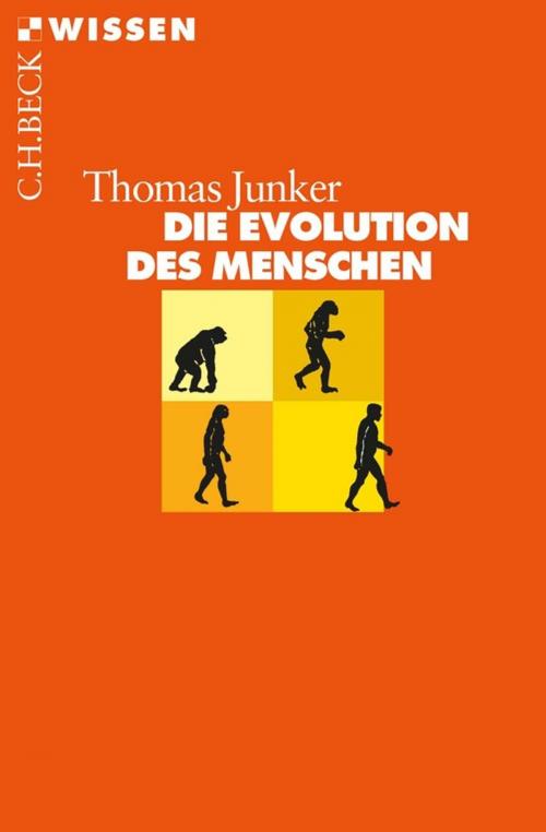 Cover of the book Die Evolution des Menschen by Thomas Junker, C.H.Beck