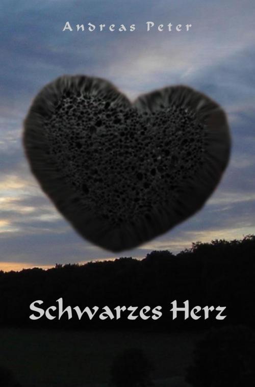 Cover of the book Schwarzes Herz by Andreas Peter, epubli