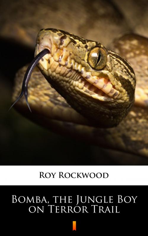 Cover of the book Bomba, the Jungle Boy on Terror Trail by Roy Rockwood, Ktoczyta.pl
