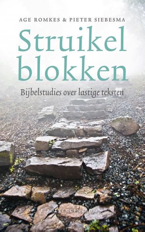 Cover of the book Struikelblokken by Age Romkes, Pieter Siebesma, VBK Media