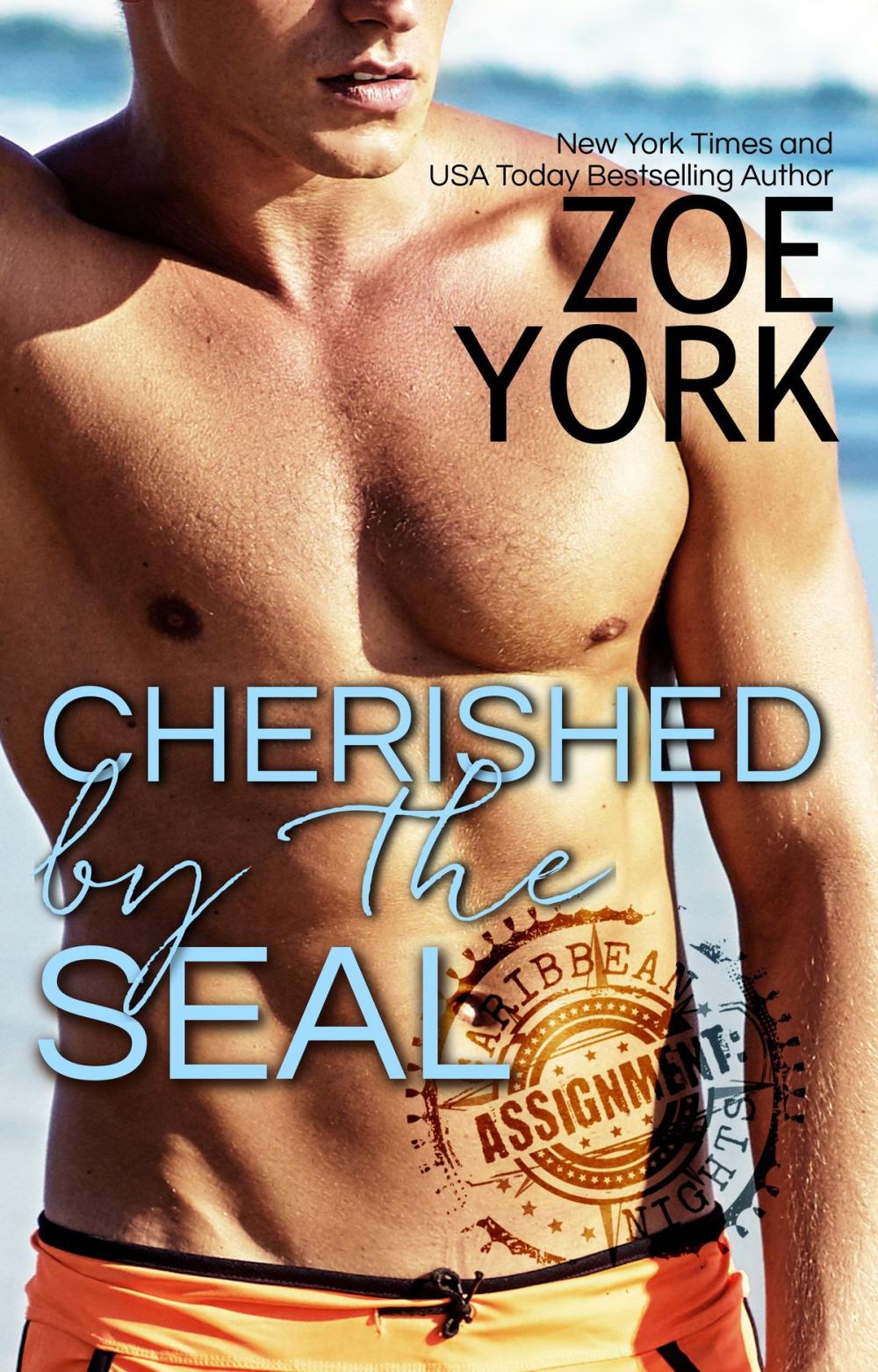 Big bigCover of Cherished by the SEAL