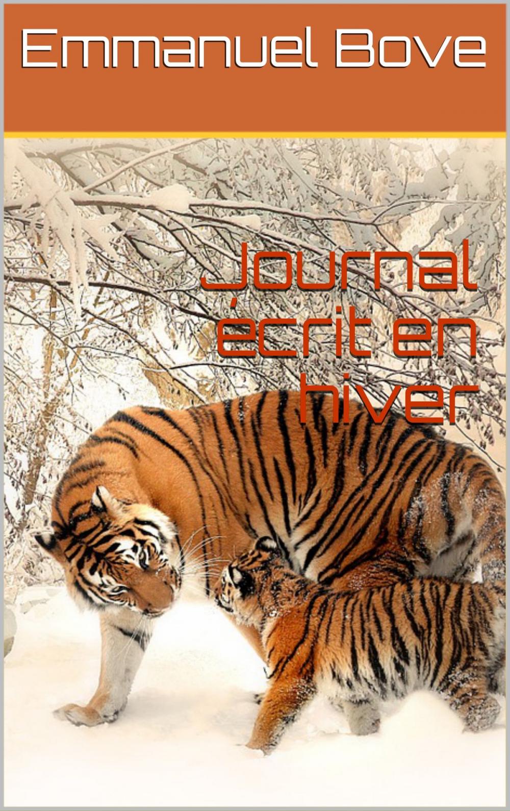 Big bigCover of Journal écrit en hiver