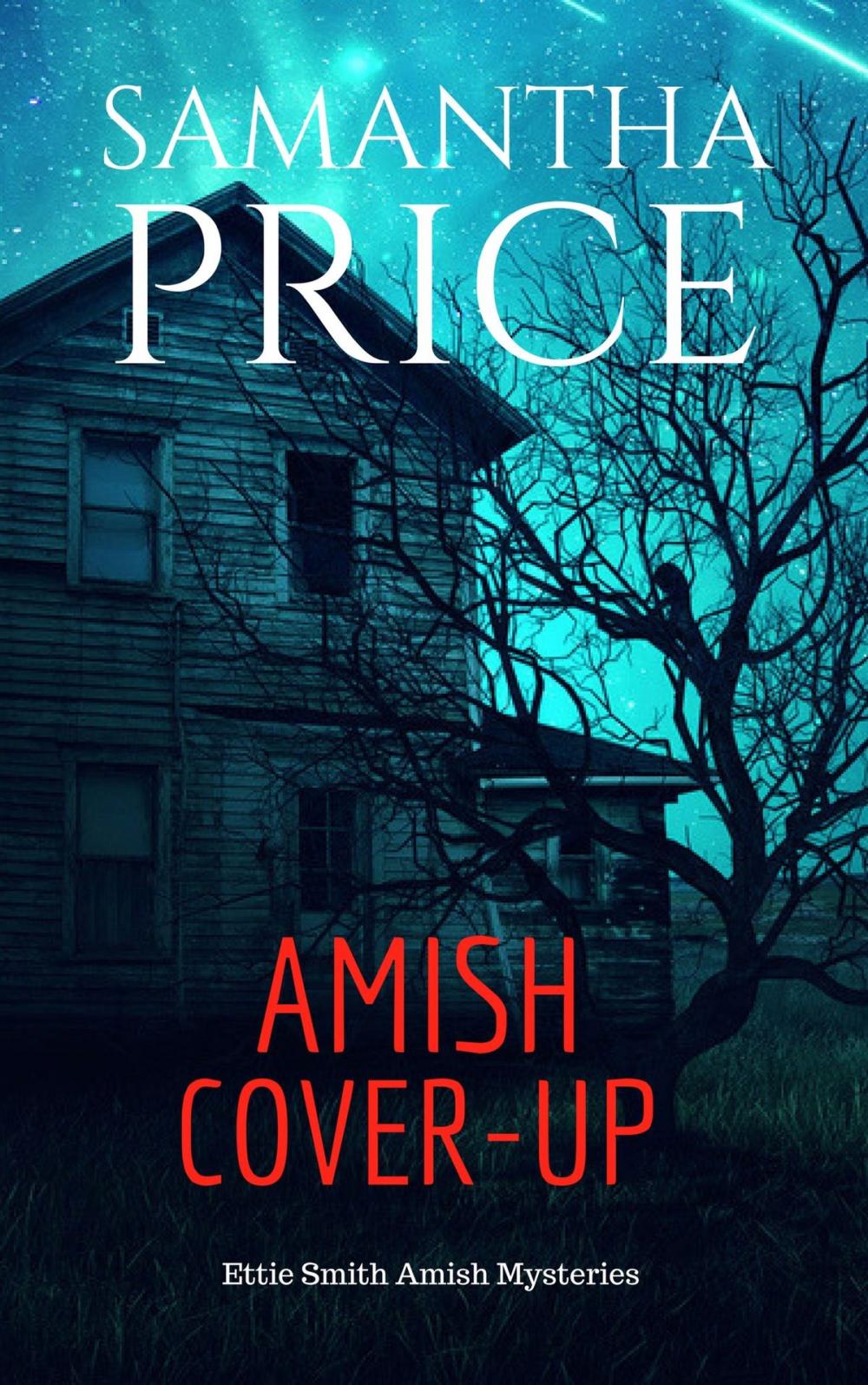 Big bigCover of Amish Cover-Up