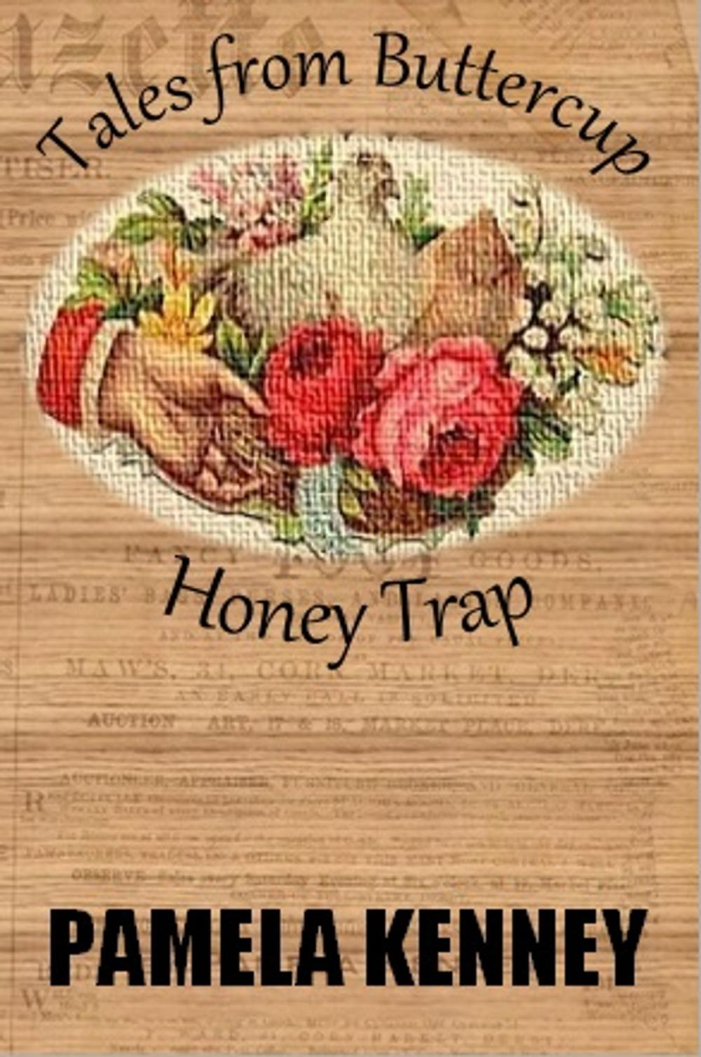 Big bigCover of Honey Trap