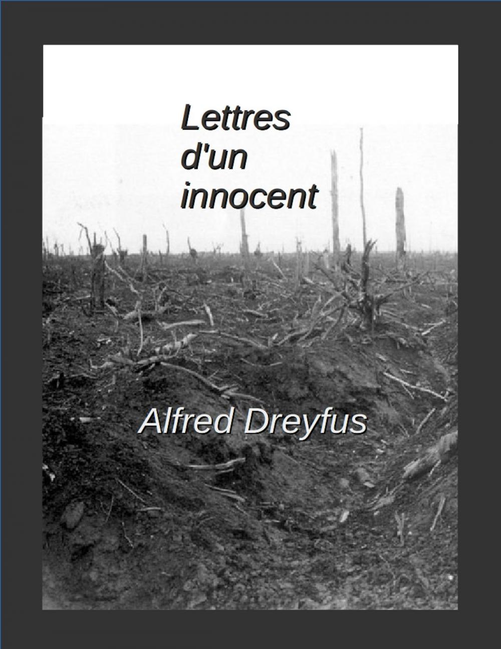 Big bigCover of Lettres d'un innocent