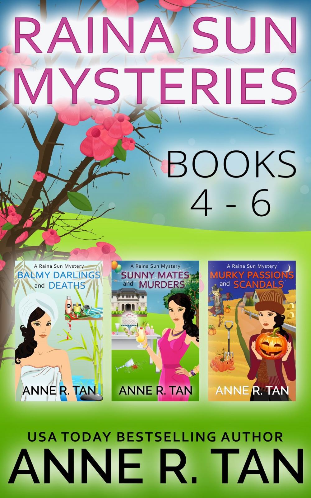 Big bigCover of Raina Sun Mystery Boxed Set Vol 2 (Books 4-6)