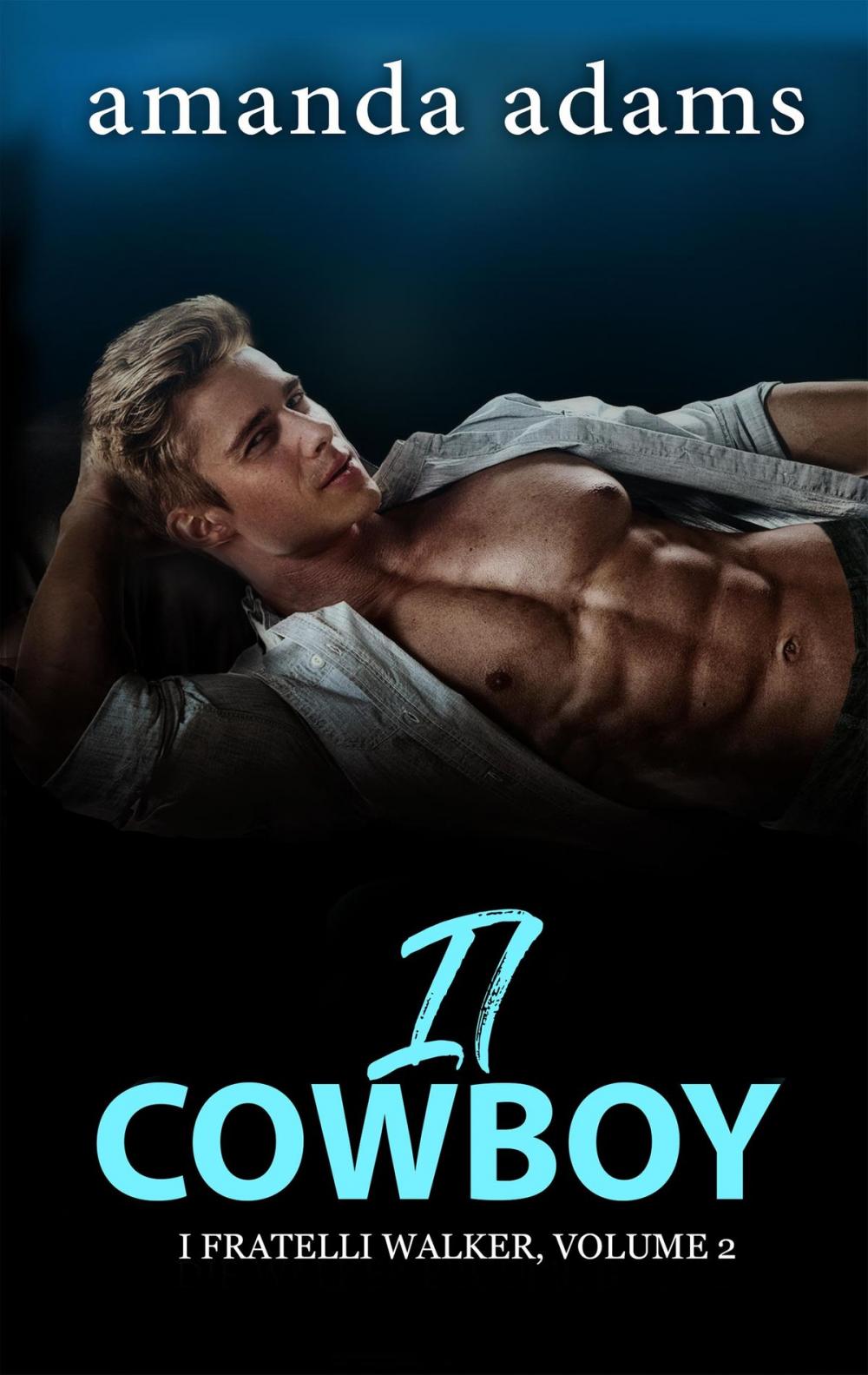 Big bigCover of Il cowboy