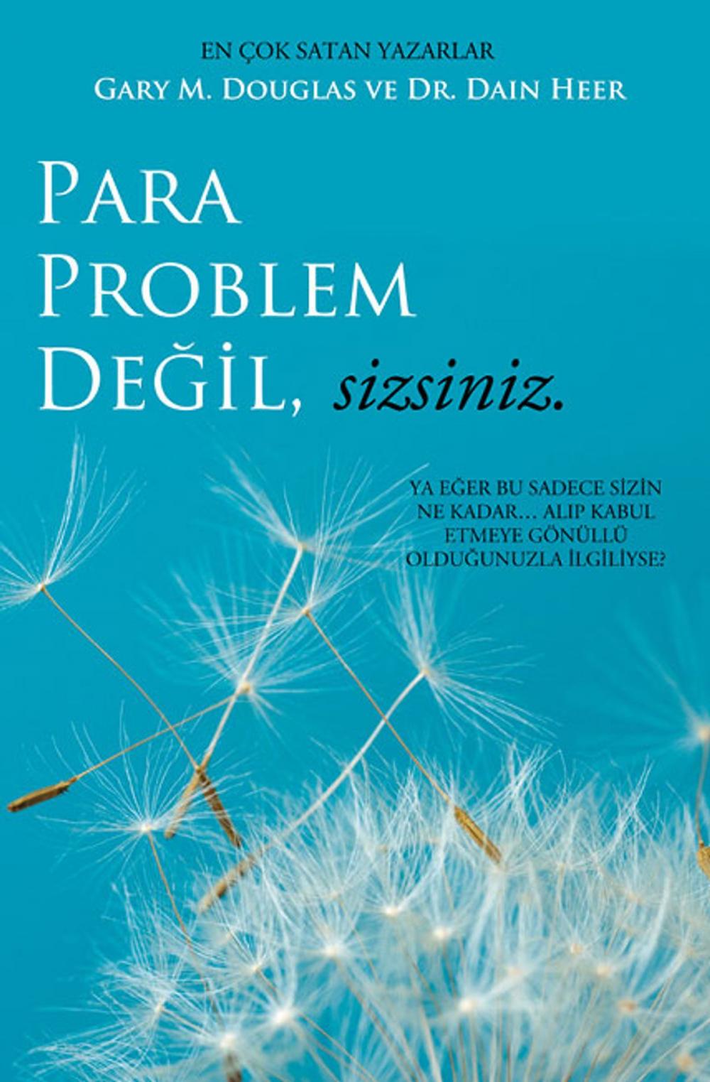 Big bigCover of Para Problem Değil, Sizsiniz