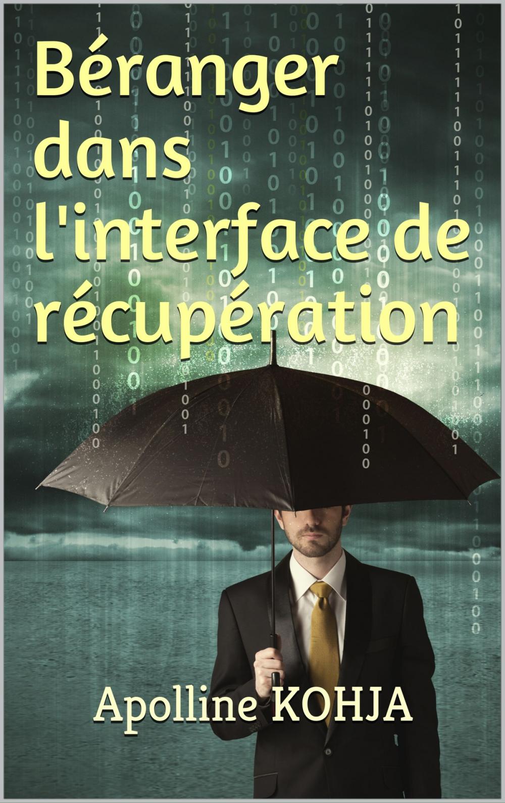 Big bigCover of BERANGER DANS L'INTERFACE DE RECUPERATION