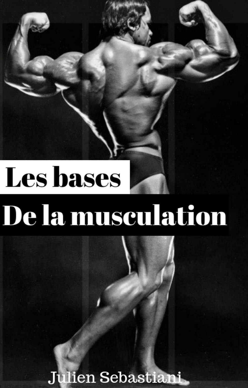 Big bigCover of Les bases de la musculation