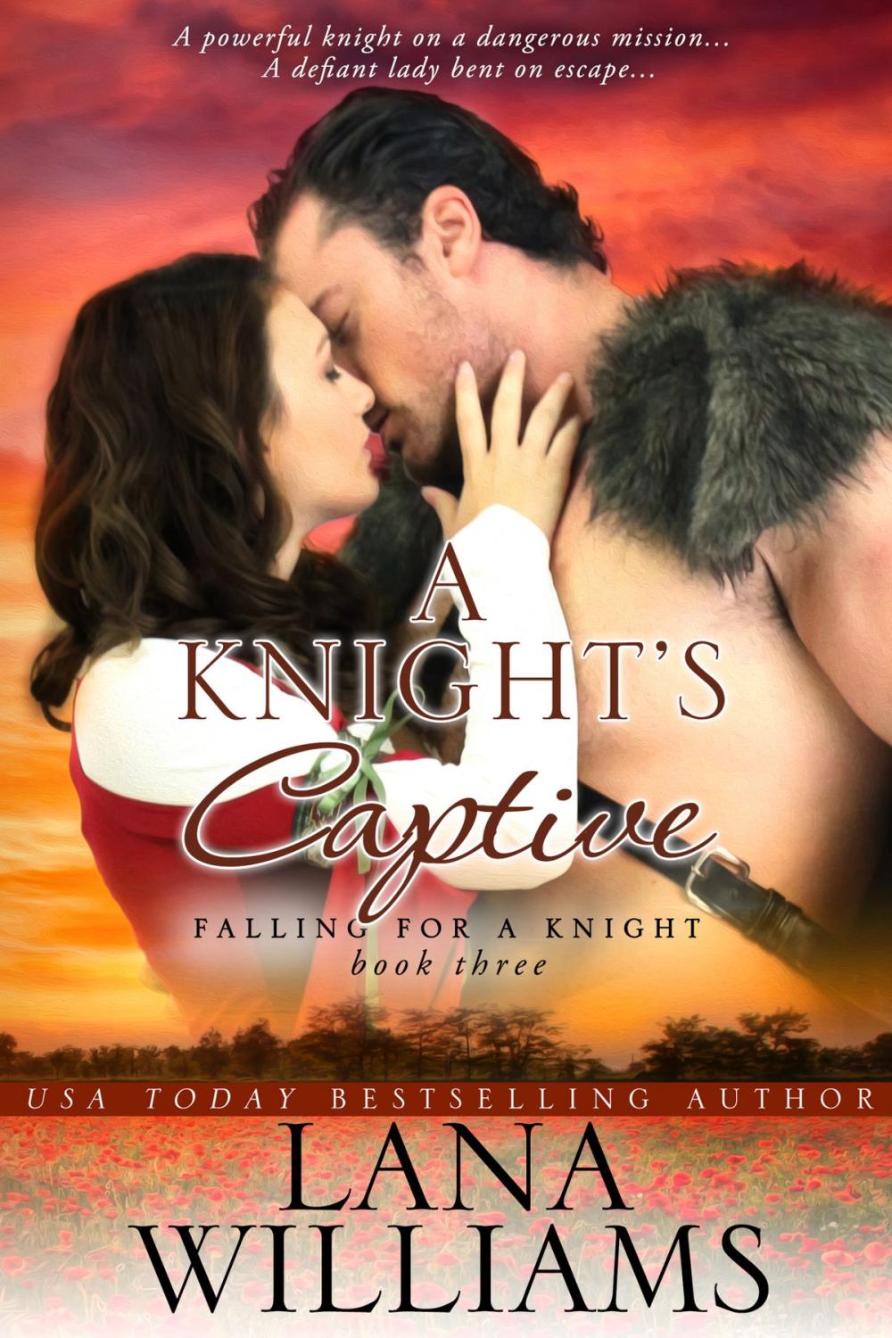 Big bigCover of A Knight's Captive