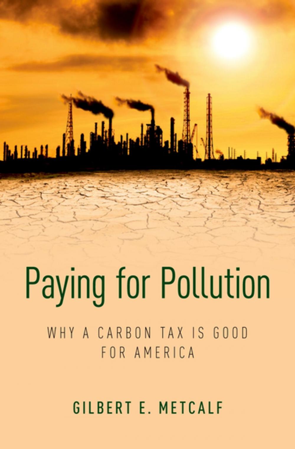 Big bigCover of Paying for Pollution