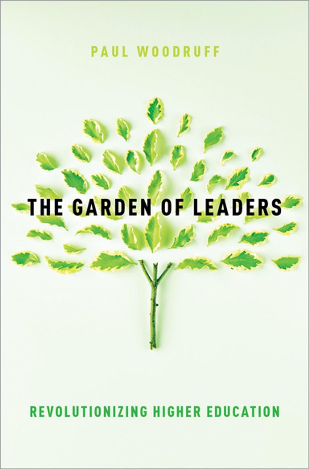 Big bigCover of The Garden of Leaders