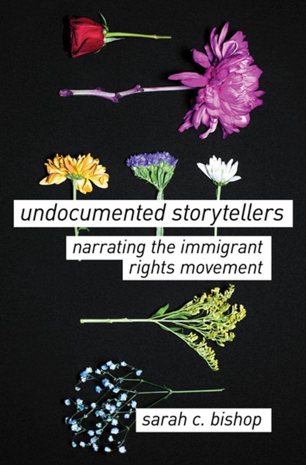 Big bigCover of Undocumented Storytellers