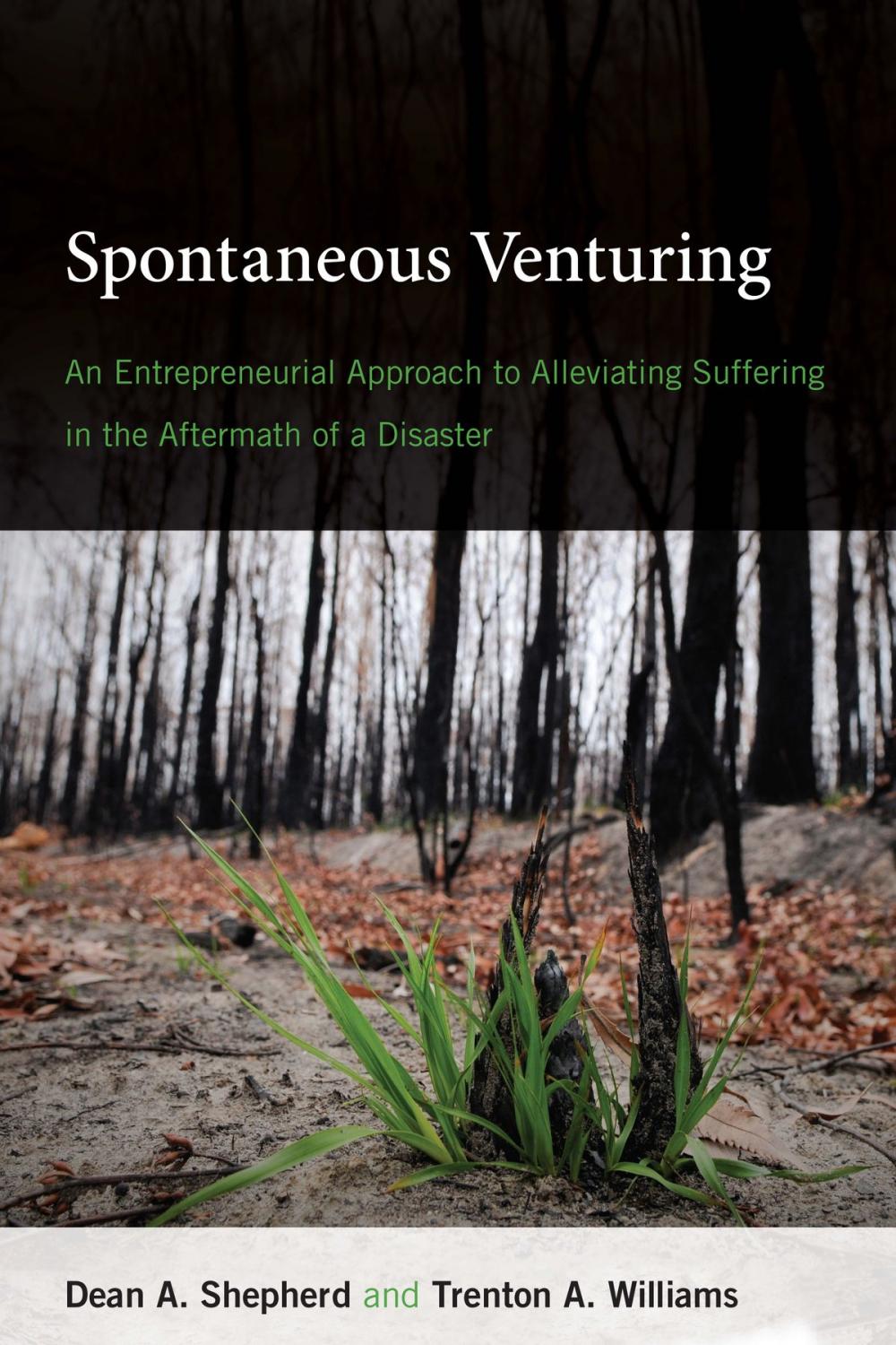 Big bigCover of Spontaneous Venturing