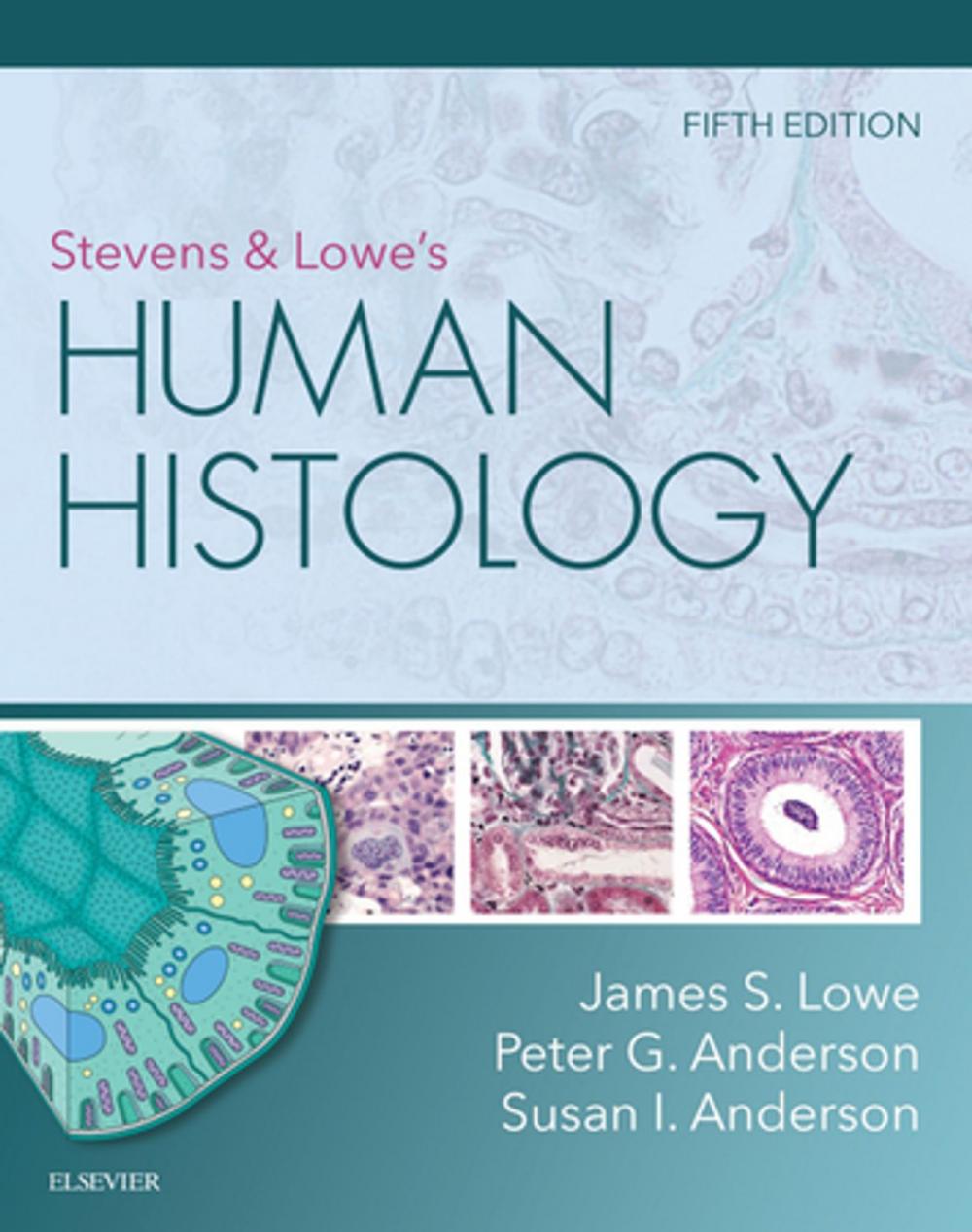 Big bigCover of Stevens & Lowe's Human Histology - E-Book