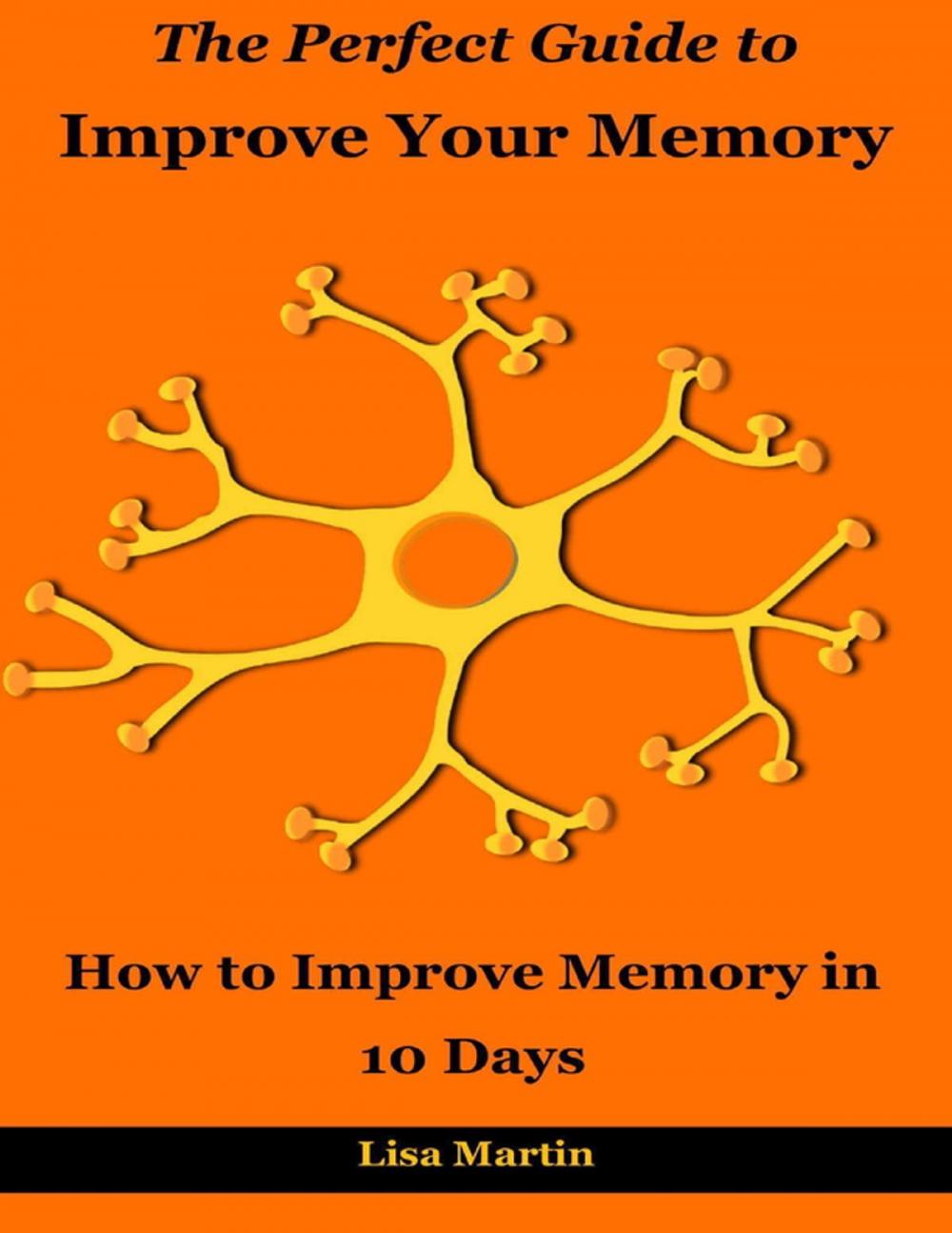 Big bigCover of The Perfect Guide to Improve Your Memory : How to Improve Memory In 10 Days