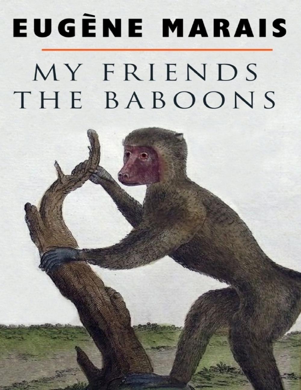 Big bigCover of My Friends the Baboons