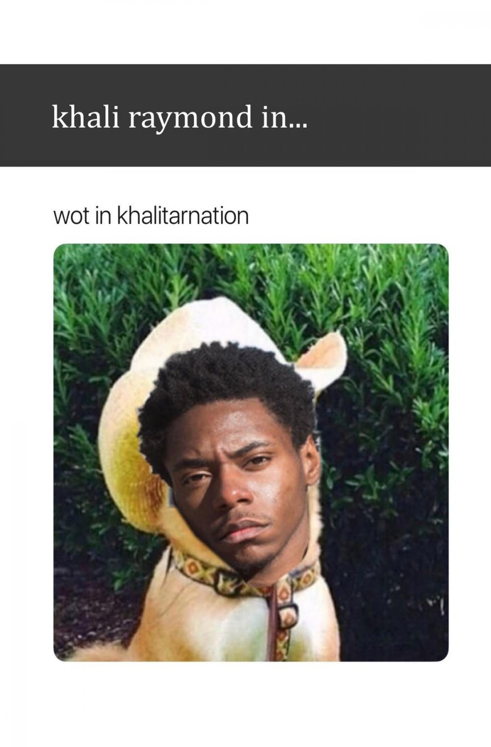 Big bigCover of Wot in Khalitarnation