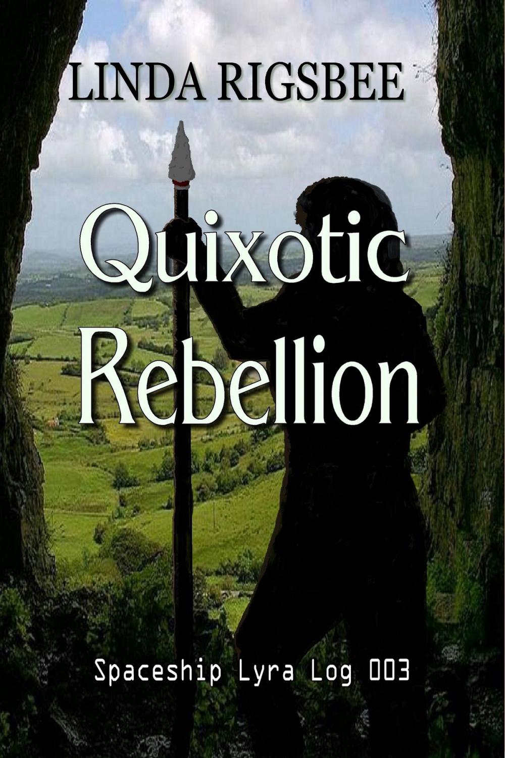 Big bigCover of Quixotic Rebellion