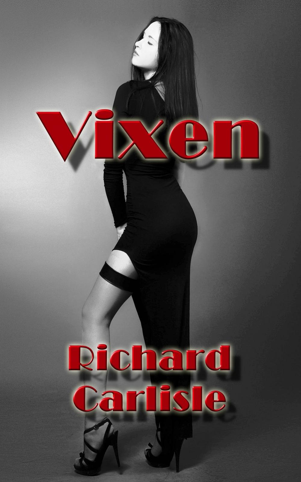 Big bigCover of Vixen