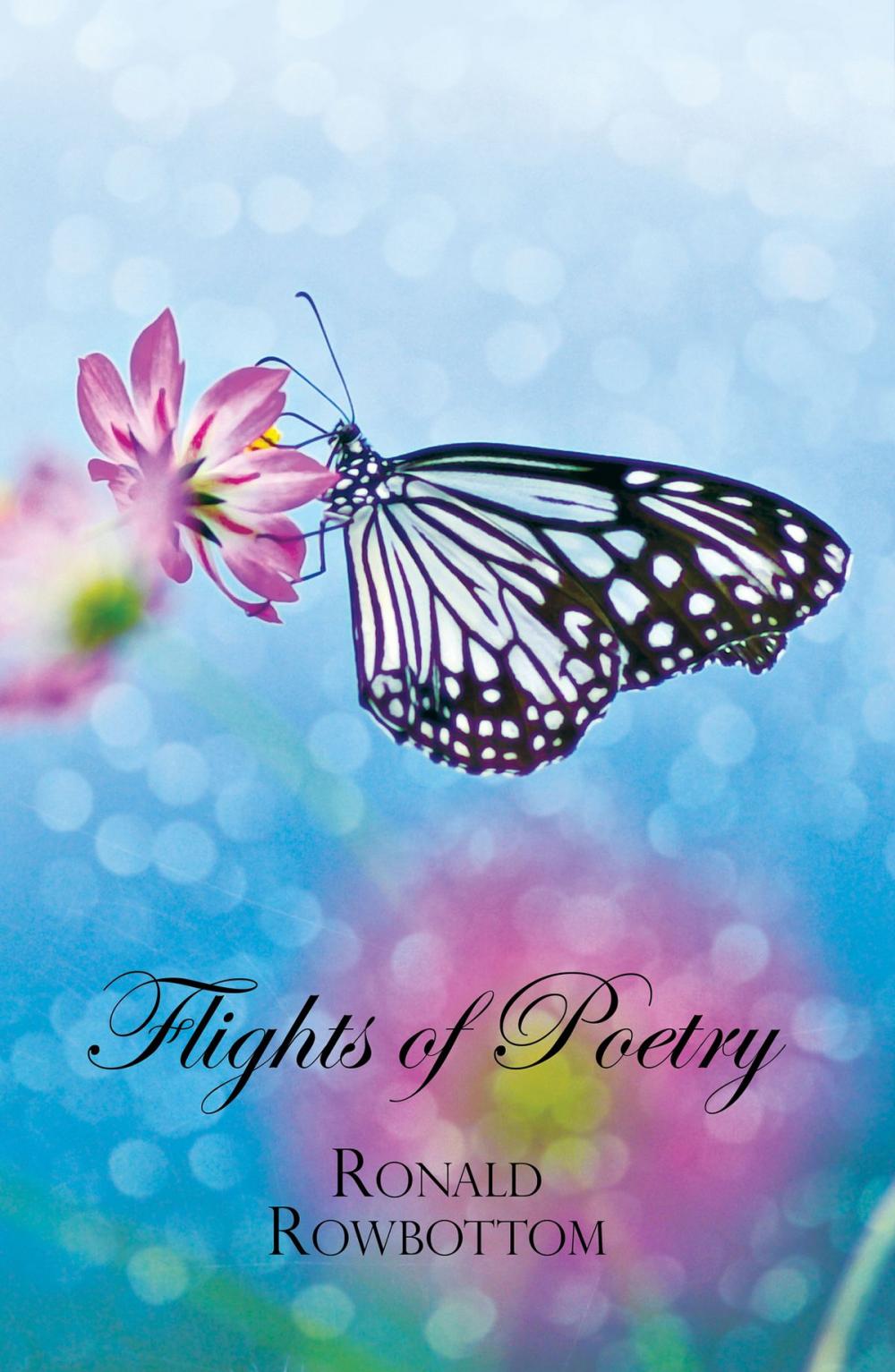 Big bigCover of Flights of Poetry