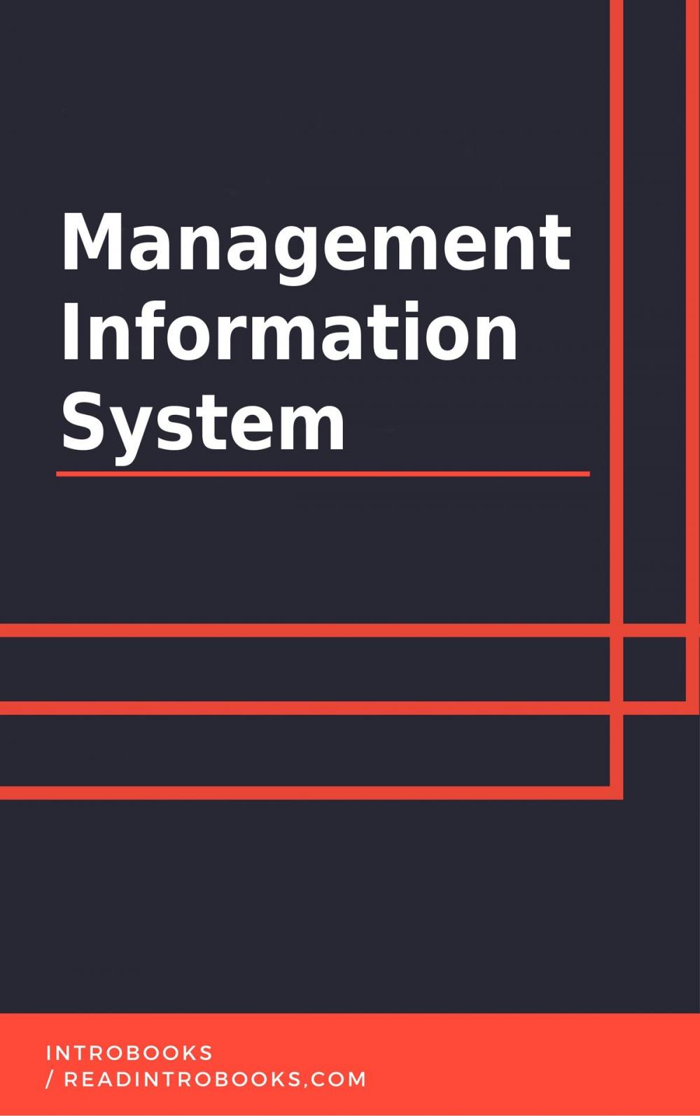 Big bigCover of Management Information System