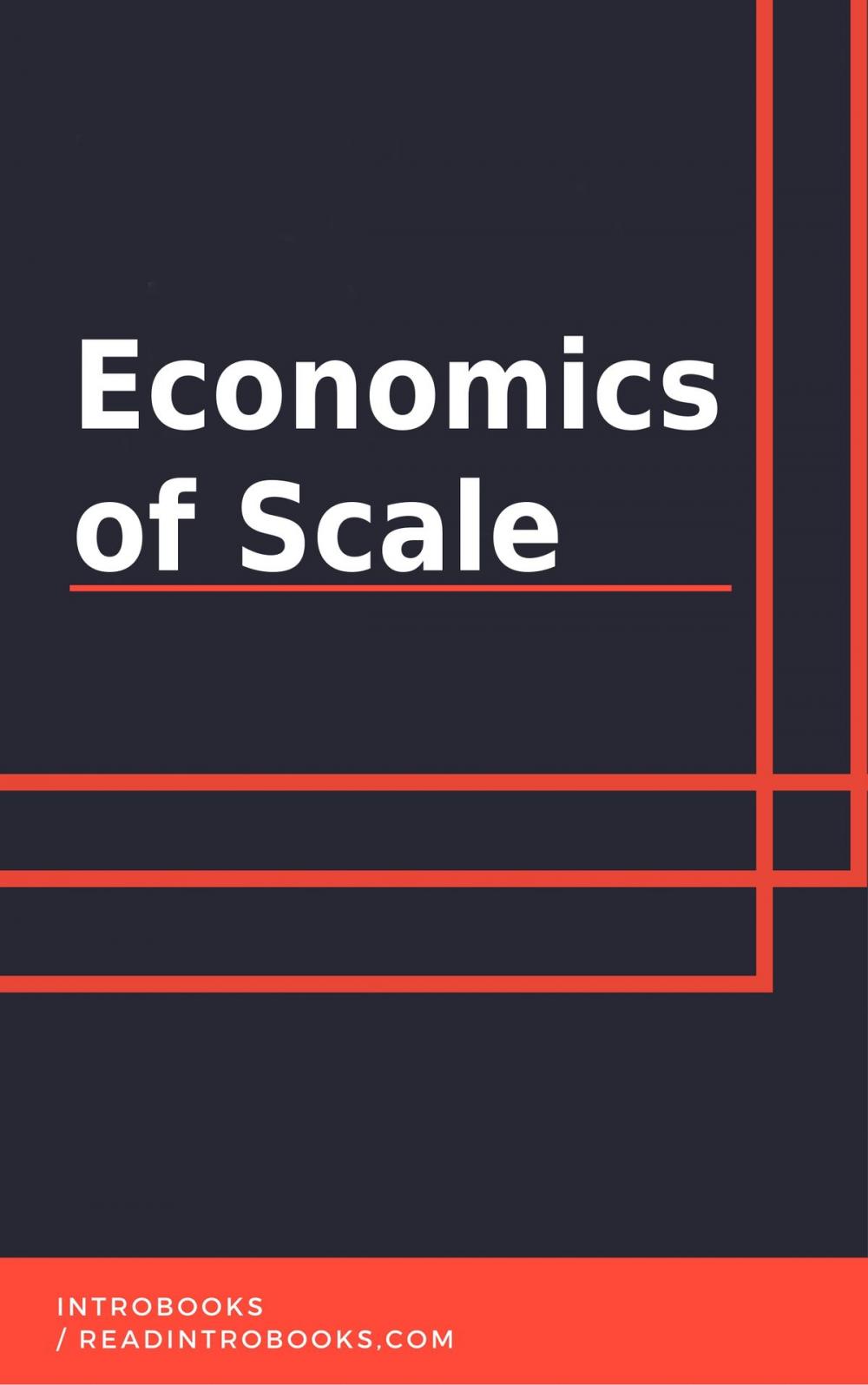 Big bigCover of Economics of Scale