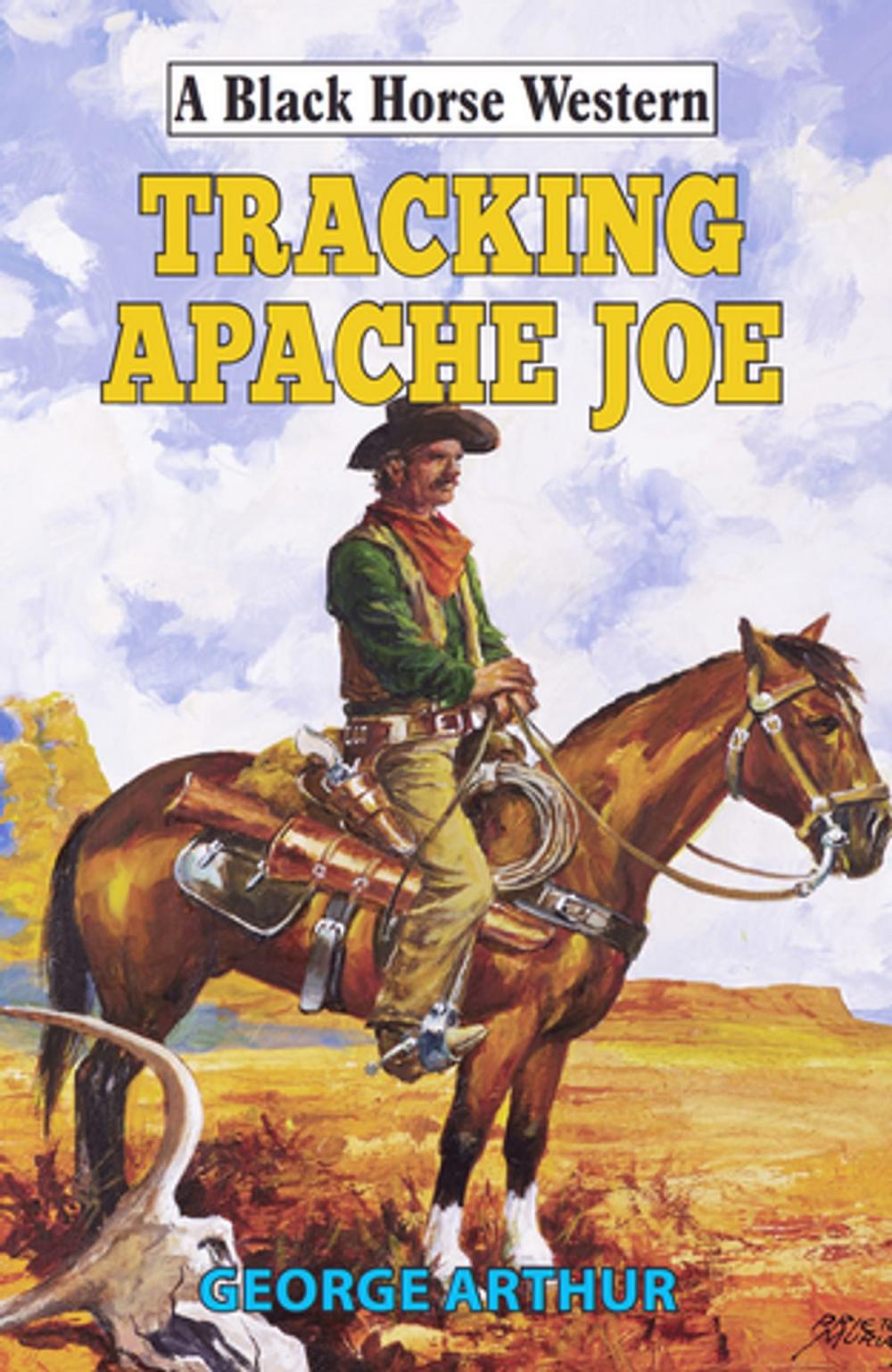 Big bigCover of Tracking Apache Joe