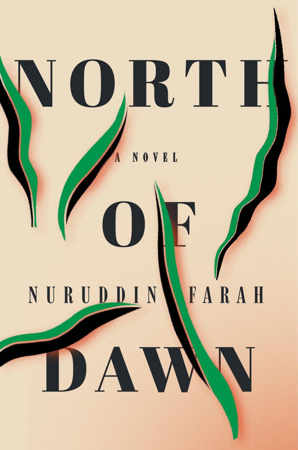 Big bigCover of North of Dawn