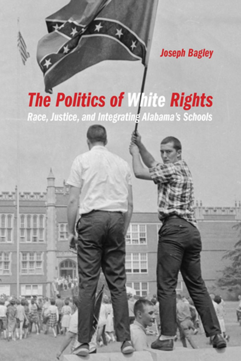 Big bigCover of The Politics of White Rights