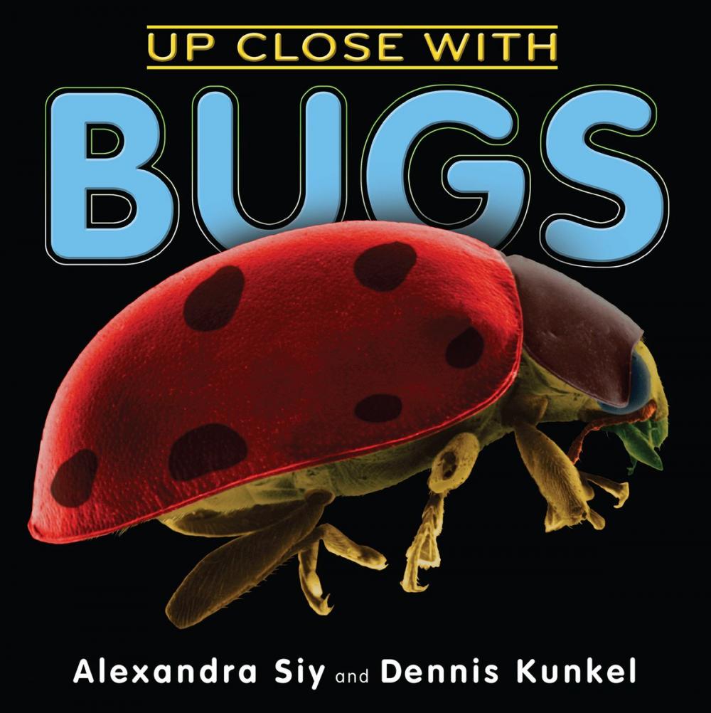 Big bigCover of Up Close With Bugs